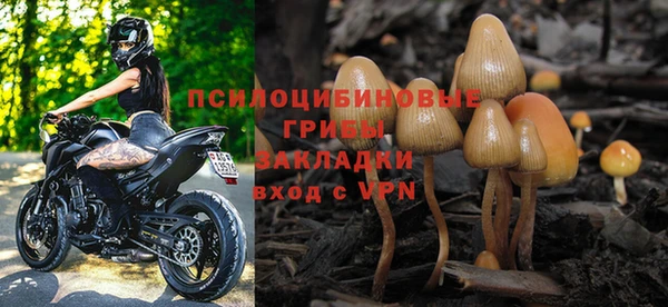 не бодяженный Медвежьегорск