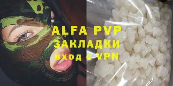 спиды Магас