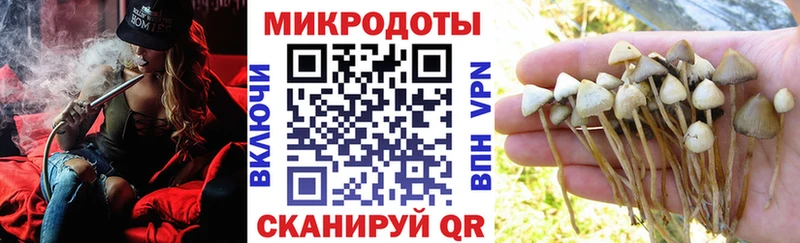 Галлюциногенные грибы мухоморы  Цивильск 